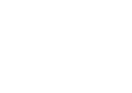 Savor 'N Style